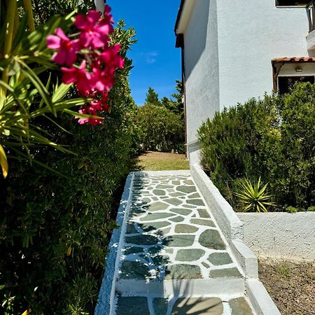Summer Luxury Villa With Sea View Metamorfosi  Exterior foto
